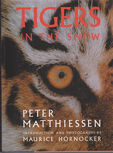9781860466779: Tigers In The Snow