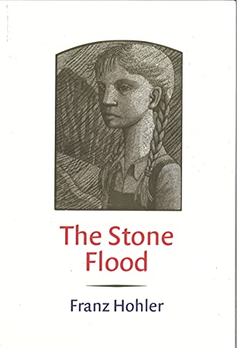Stock image for The Stone Flood for sale by ThriftBooks-Atlanta