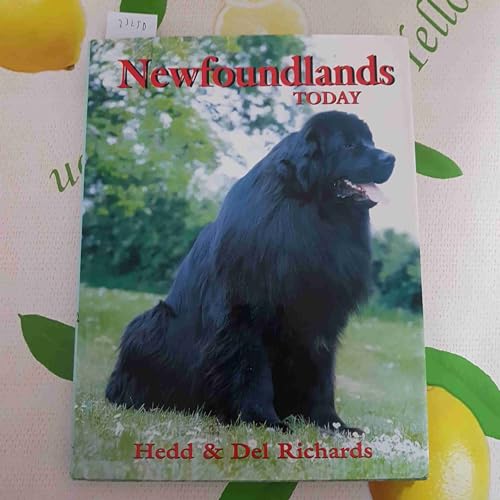 Stock image for Newfoundland Today for sale by SecondSale