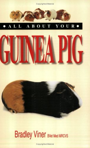 Beispielbild fr All About Your Guinea Pig zum Verkauf von AwesomeBooks