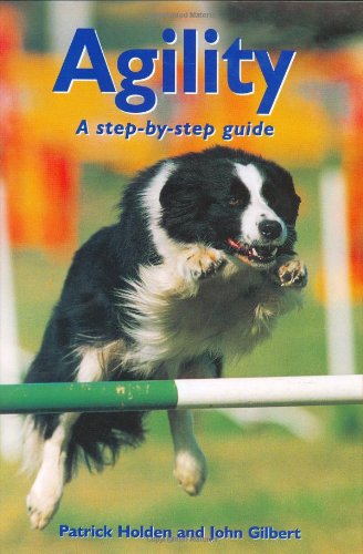 Stock image for Agility: A Step-By-Step Guide for sale by ThriftBooks-Dallas