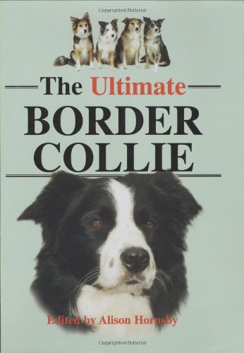 Beispielbild fr The Ultimate Border Collie zum Verkauf von WorldofBooks