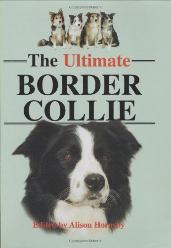 9781860540882: The Ultimate Border Collie