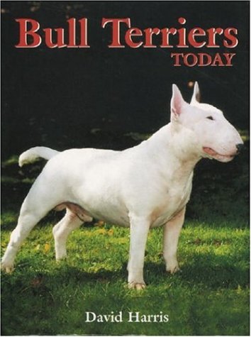 Beispielbild fr Bull Terriers Today (A Ringpress dog book of distinction) zum Verkauf von WorldofBooks