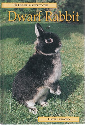 Stock image for Dwarf Rabbit for sale by ThriftBooks-Dallas