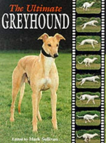 Stock image for THE ULTIMATE GREYHOUND. Edited by Mark Sullivan. for sale by Coch-y-Bonddu Books Ltd