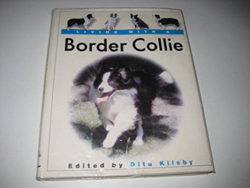 Living With A Border Collie