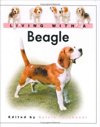 Beispielbild fr Living With A Beagle zum Verkauf von WorldofBooks