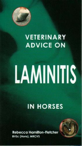 Stock image for Veterinary Advice on Laminitis in Horses (Veterinary Advice Guide S.) for sale by WorldofBooks