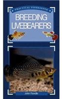 Beispielbild fr The Practical Fishkeeper's Guide to Breeding Livebearers (Practical Fishkeeper's Guide S.) zum Verkauf von WorldofBooks