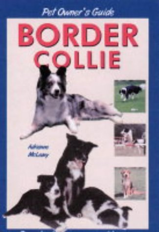 Beispielbild fr Pet Owner's Guide to the Border Collie zum Verkauf von WorldofBooks