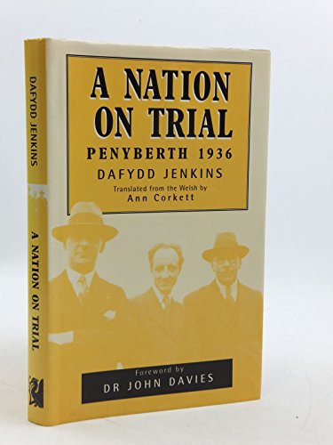 Imagen de archivo de A Nation on Trial a la venta por Revaluation Books