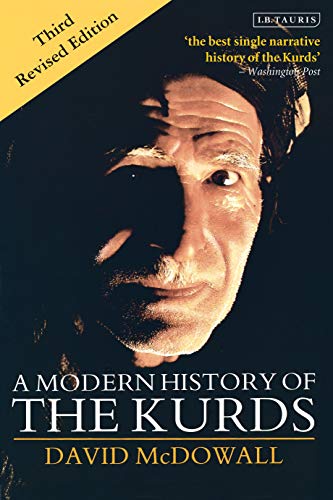 9781860641428: A Modern History of the Kurds