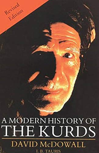 9781860645358: A Modern History of the Kurds