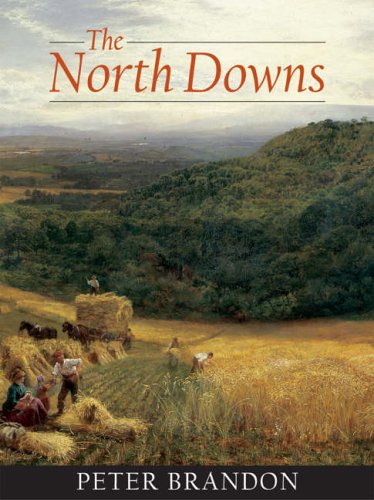 9781860773532: The North Downs
