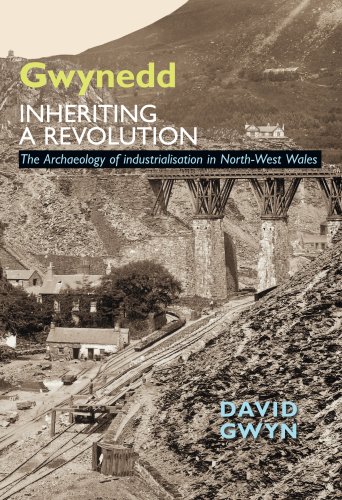 Stock image for Gwynedd Inheriting a Revolution The Archaeology of Industrialisation in North West Wales for sale by PBShop.store US