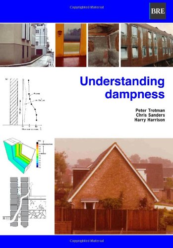 9781860816864: Understanding Dampness: Effects, Causes, Diagnosis and Remedies (BR 466)