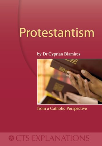 Imagen de archivo de Protestantism: From a Catholic Perspective (Explanations) a la venta por WorldofBooks