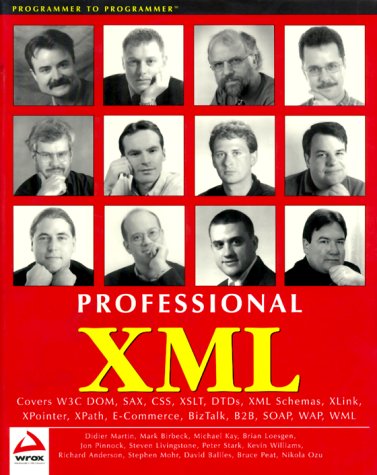 Beispielbild fr Professional XML zum Verkauf von Better World Books