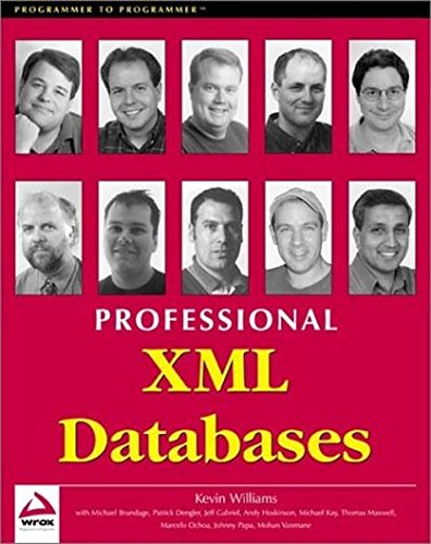 9781861003584: PROFESSIONAL XML DATABASES (Programmer to Programmer)