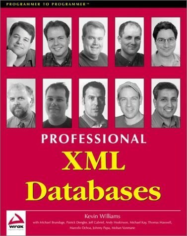 Imagen de archivo de Professional XML Databases a la venta por SecondSale