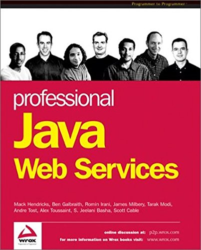 Beispielbild fr Professional Java Web Services zum Verkauf von Irish Booksellers