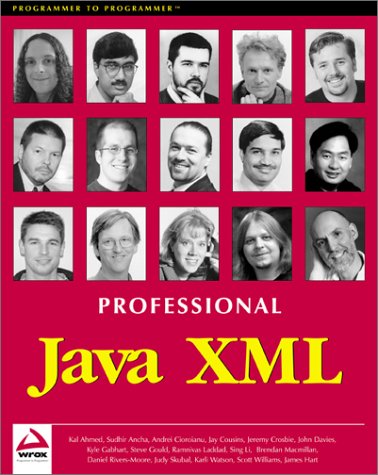 Beispielbild fr Professional Java XML zum Verkauf von HPB-Red