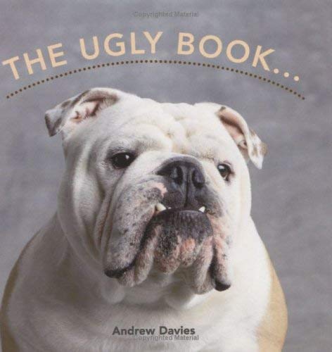 Beispielbild fr The Ugly Book zum Verkauf von Goldstone Books