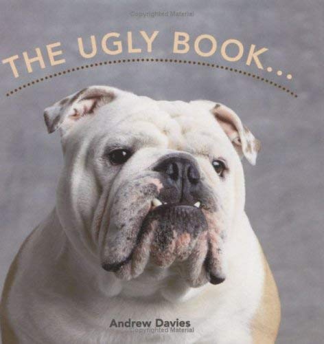 Stock image for The Ugly Book for sale by Goldstone Books