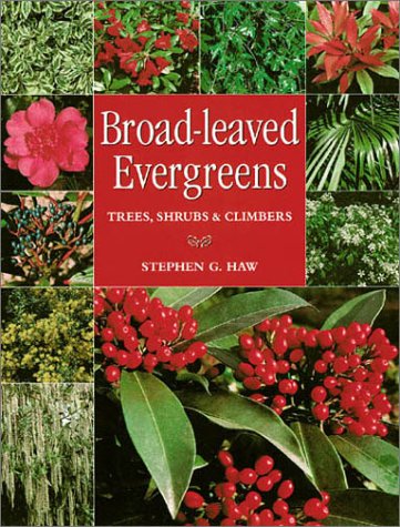 9781861081728: Broad-Leaved Evergreens: Trees, Shrubs & Climbers