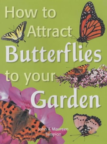 Beispielbild fr How to Attract Butterflies to Your Garden zum Verkauf von AwesomeBooks