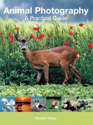 Beispielbild fr Animal Photography : A Practical Guide zum Verkauf von Better World Books