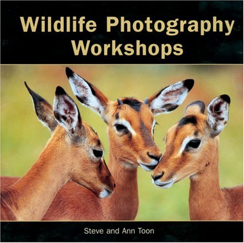 Imagen de archivo de Wildlife Photography Workshops a la venta por WorldofBooks