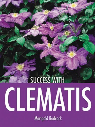 Imagen de archivo de Success with Clematis a la venta por Better World Books
