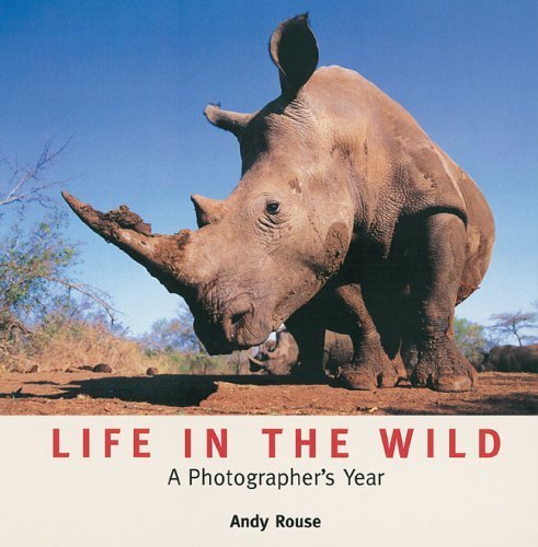 Stock image for Life in the Wild: A Photographer's Year for sale by WorldofBooks