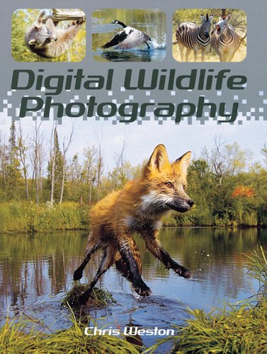 Beispielbild fr Digital Wildlife Photography zum Verkauf von WorldofBooks