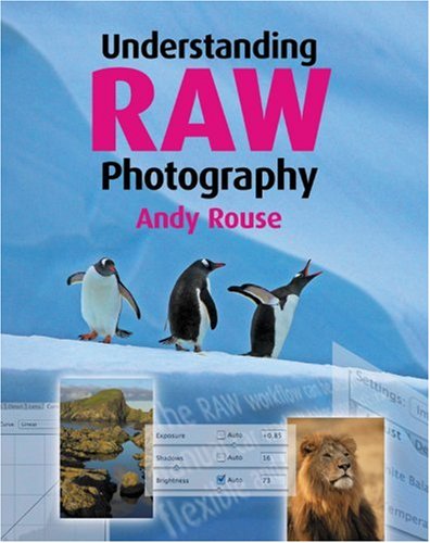 Beispielbild fr Understanding RAW Photography zum Verkauf von WorldofBooks