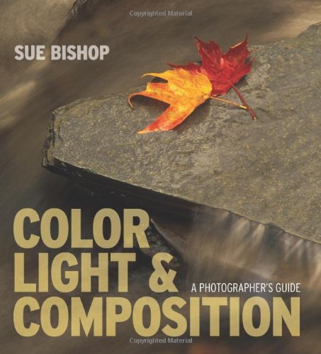 Beispielbild fr Color, Light & Composition: A Photographer's Guide zum Verkauf von WorldofBooks