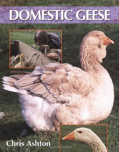 Stock image for Domestic Geese for sale by WorldofBooks