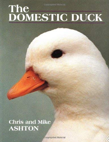 9781861264022: The Domestic Duck