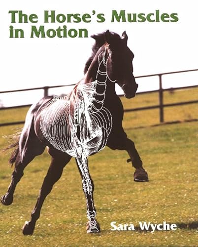 Horses Muscles in Motion