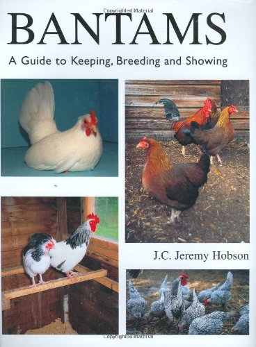 Beispielbild fr Bantams, A Guide to Keeping, Breeding and Showing zum Verkauf von WorldofBooks