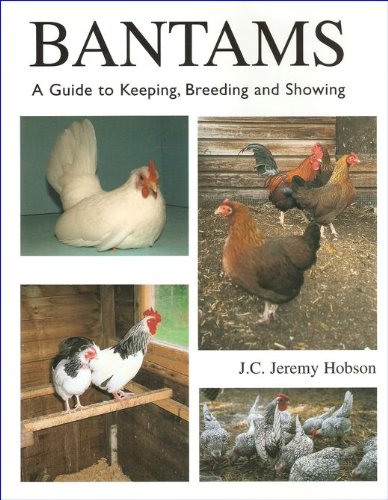 Stock image for Bantams: A Guide to Keeping, Breeding and Showing for sale by SecondSale
