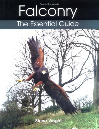 Falconry: The Essential Guide (9781861268631) by Wright, Steve