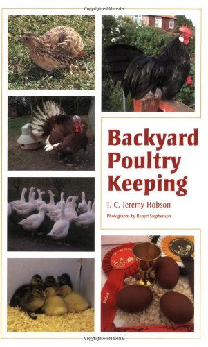 Imagen de archivo de Backyard Poultry Keeping a la venta por WorldofBooks