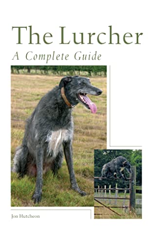9781861269768: The Lurcher: A Complete Guide