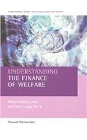 Understanding the finance of welfare: What welfare costs and how to pay for it (Understanding Welfare: Social Issues, Policy and Practice) (9781861344052) by Glennerster, Howard