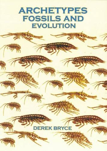 Beispielbild fr Archetypes Fossils and Evolution zum Verkauf von Revaluation Books