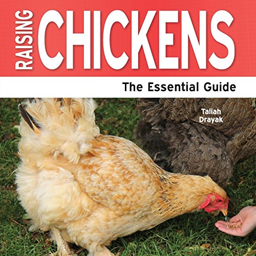 9781861443014: RAISING CHICKENS: The Essential Guide