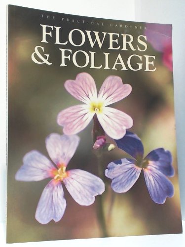 Beispielbild fr Flowers And Foliage zum Verkauf von AwesomeBooks